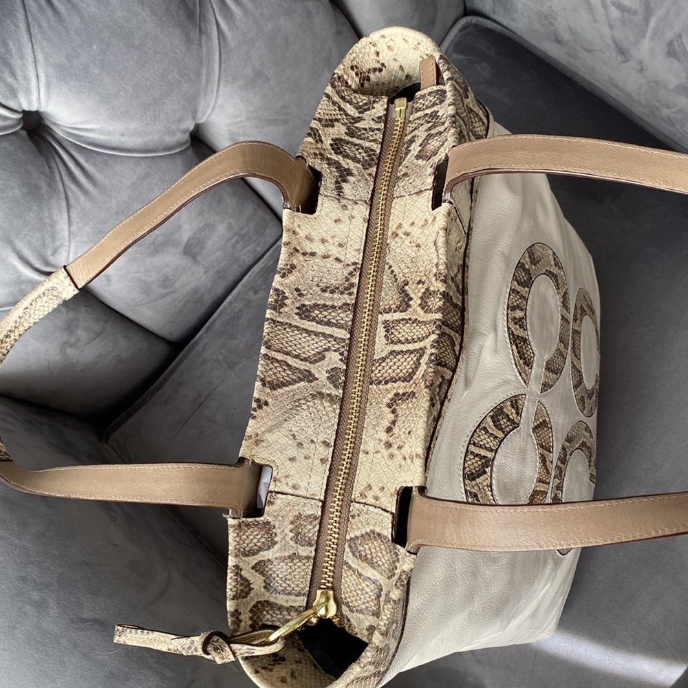 Audrey Inlaid Python Leigh Slim Tote - Picture 5 of 11
